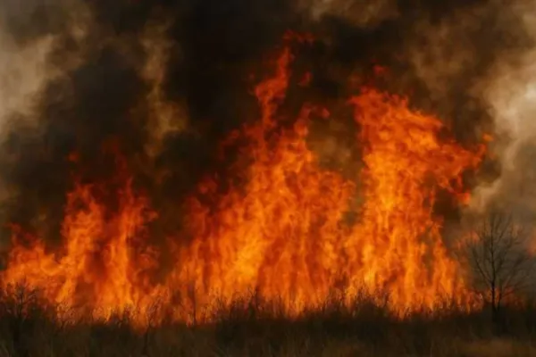 Numărul incendiilor de vegetație uscată aproape s-a triplat față de anul trecut. Majoritatea focarelor au fost provocate intenţionat