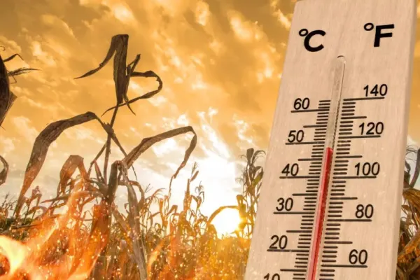 Valurile de căldură extremă provoacă un nou pericol major pentru sănătate. Temperaturile ridicate cresc riscul de nașteri premature