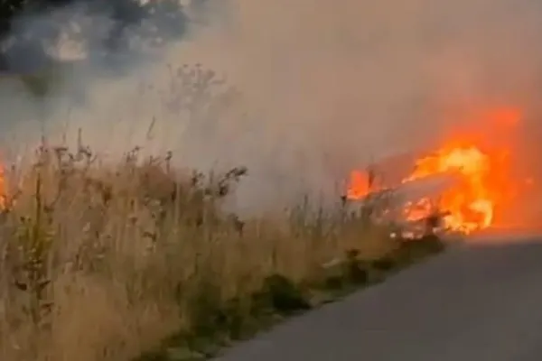 Bărbat reținut după ce a provocat un incendiu masiv de vegetație, între București și Ilfov. Motivul pentru care a recurs la acest gest i-a lăsat cu gura căscată pe polițiști