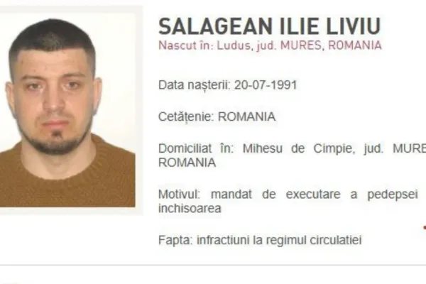 Mureșean condamnat pentru infracțiuni rutiere și influențarea declarațiilor, adus din Germania. În trecut a fost implicat într-un caz de omor alături de Emil Gânj