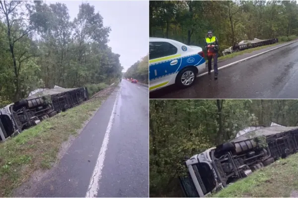 TIR încărcat cu pui, răsturnat pe DN 24, în județul Vaslui. Șoferul a fugit de la locul accidentului