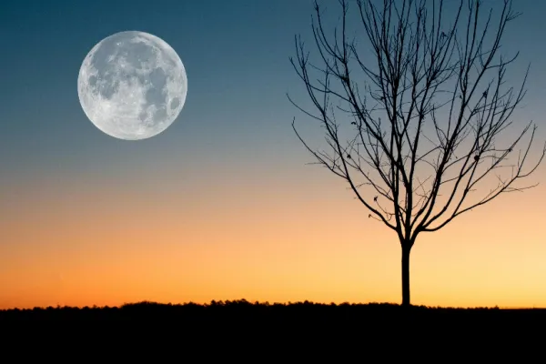 Schimbări de destin, începând cu 5 noiembrie, la Super Luna Plină din Taur. Cum ne va afecta acest eveniment astral