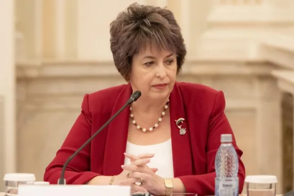 Niculina Stelea (senator AUR): „Au rezolvat-o și pe asta: a dispărut baza de date PNRR”