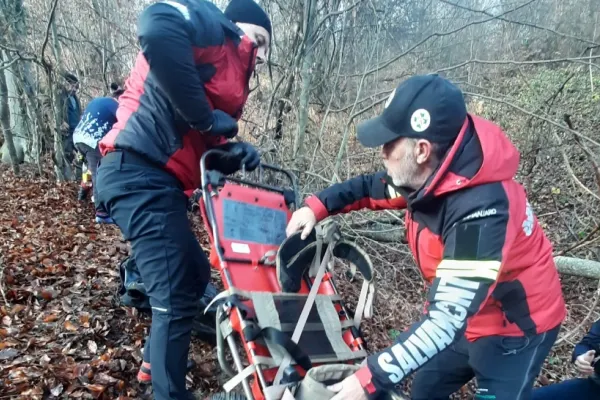 Bărbat în stare critică, transportat la spital după un accident forestier în zona Săliștea de Sus