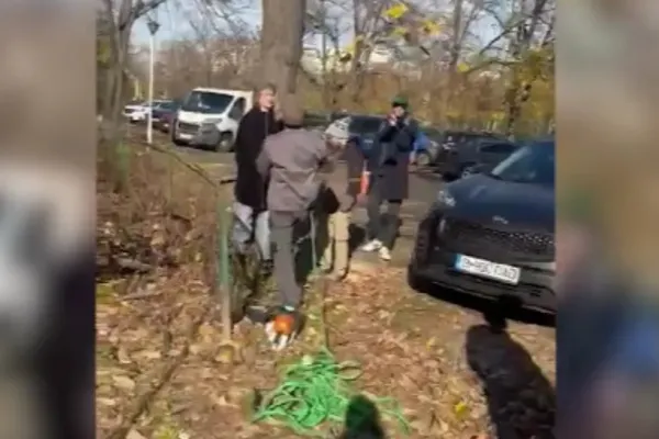 Scandal în Sectorul 3 din cauza tăierilor abuzive. Proteste după tăierile arborilor