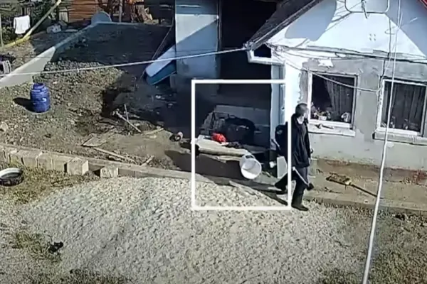 Val de anchete în poliție după crimele din Teleorman și Mureș. 17 polițiști anchetați