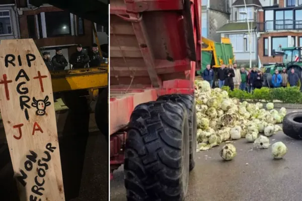 Fermierii francezi, proteste cu varză stricată și sicrie în fața casei lui Macron - VIDEO