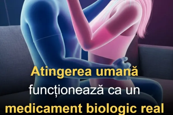 O simplă îmbrățișare poate vindeca: cum atingerea fizică influențează sănătatea noastră