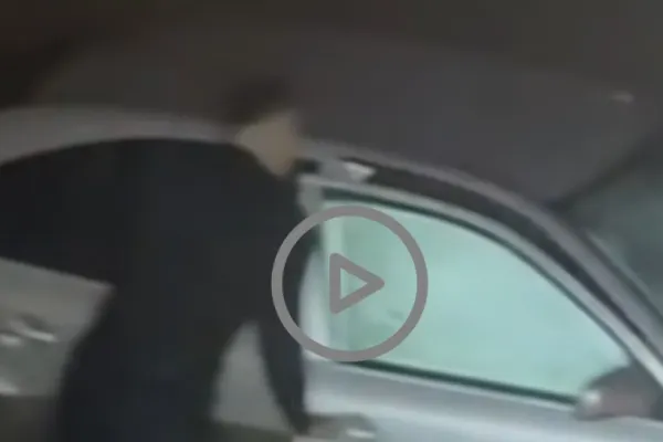 Momentul în care doi polițiști sar în apele reci ale Jiului pentru a salva o femeie care a căzut cu mașina în râu: „Doamnă, mă auziți?” - VIDEO