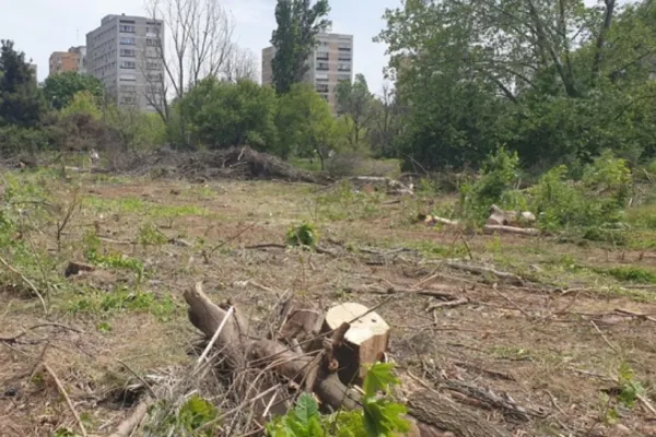 Un consilier AUR îi taxează pe cei din USR pentru situația Parcului IOR: „Au promis că îl vor salva. Astăzi au puterea. De ce nu îl salvează?”