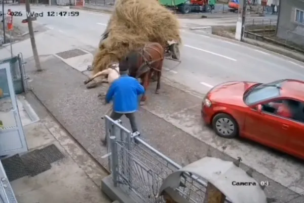Accident grav în Bistrița-Năsăud: o căruță încărcată cu fân a fost lovită de o mașină în intersecție
