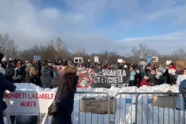 Peste 700 de persoane protestează în fața Parlamentului împotriva eutanasierii în masă a animalelor - VIDEO