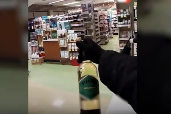 Hoții costumați în Robin Hood au donat mâncarea sărmanilor. Furt în Canada