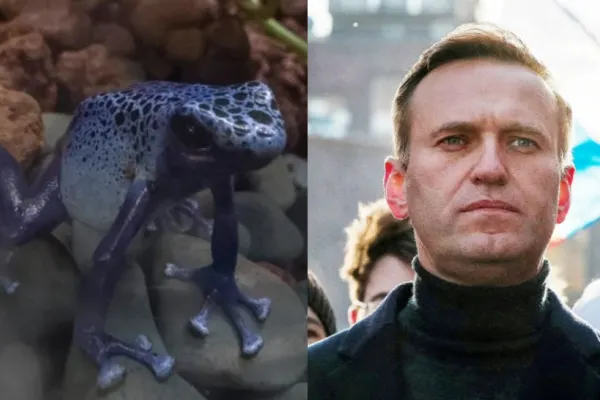 Kremlinul respinge acuzațiile că Aleksei Navalnîi ar fi fost otrăvit cu o toxină rară
