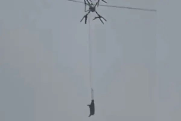 Un fermier a lăsat un sat fără curent 10 ore după ce a încercat să transporte porci cu o dronă - VIDEO