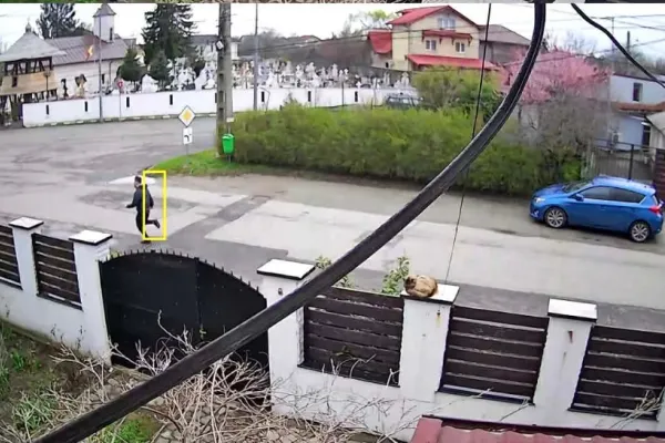 Urmărire cu focuri de armă la Buftea. Imagini șocante, fugarul urmărit de polițiști nu avea permis - VIDEO