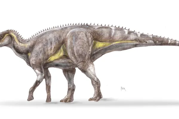 Descoperire arheologică în România. O noua specie de dinozaur descoperită în Geoparcul Țara Hațegului