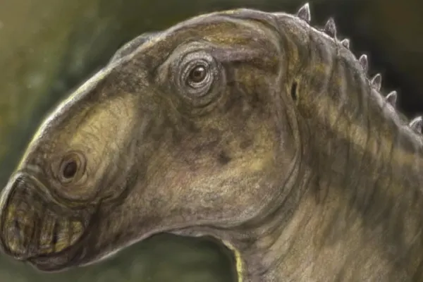 Specie rară de dinozaur, identificată oficial în România după un secol de la primele indicii