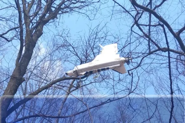 Dronă misterioasă, prinsă în vârful unui copac în județul Iași. Proprietarul terenului a chemat de urgență autoritățile