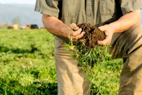 Ultimatum dat liderilor politici de reprezentanții mediului agricol, reuniți la Neptun: Învestirea unui guvern stabil în 20 de zile sau alegeri anticipate