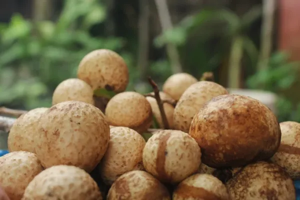 Fructul exotic „ochiul dragonului” câștigă popularitate: ce beneficii are longanul pentru sănătate
