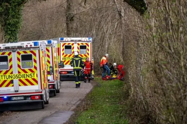 Tragedie în Germania, în ziua de Paște: o mamă și bebelușul ei au murit după ce un copac a căzut peste ei
