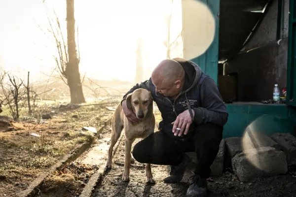 Câinii războiului. Transformări surprinzătoare ale caninelor care trăiesc pe linia frontului din Ucraina - STUDIU