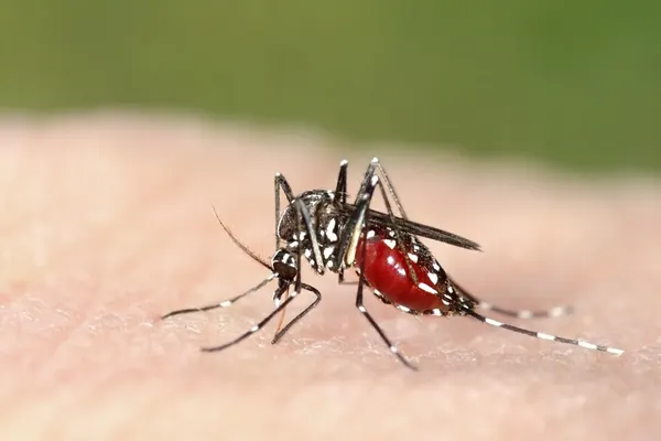 Alertă de sănătate publică: INSP confirmă 46 de cazuri de infecție cu virusul West Nile în România