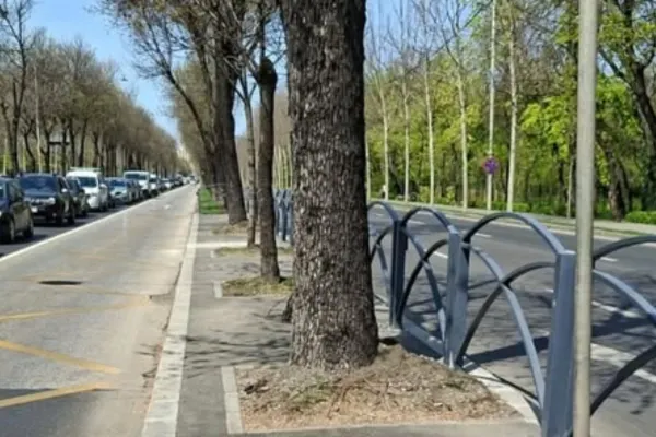 Amenzi uriașe pentru șoferii care merg pe banda de autobuz. Haos total în traficul din Capitală, polițiștii intervin urgent