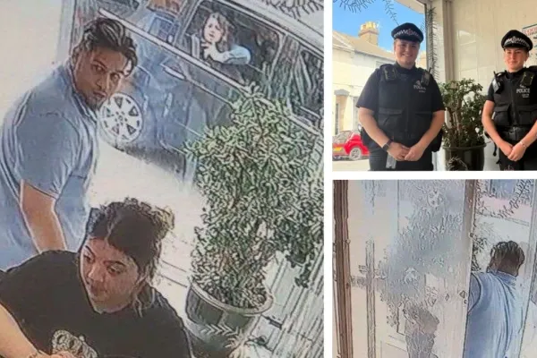 Doi români au furat „copacul banilor” dintr-un restaurant chinezesc din Marea Britanie. Planta cu valoare sentimentală a fost recuperată de poliție