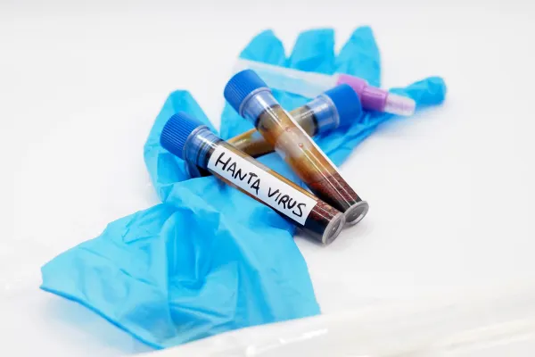 Focarul de hantavirus de pe nava de croazieră: risc global scăzut, fără noi decese. Situația, monitorizată de OMS