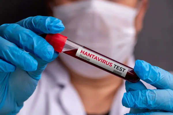 O țară europeană a ridicat un sat de carantină din cauza focarului de hantavirus