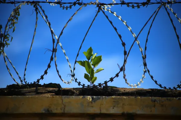 Român achitat definitiv în Italia după 56 de zile de închisoare. Cere despăgubiri de 12.000 de euro pentru detenție nedreaptă