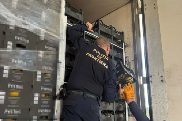 Captură record a polițiștilor de frontieră din Giurgiu. Peste şapte milioane de ţigarete, în valoare de peste 2 milioane de euro, ascunse într-un transport de citrice