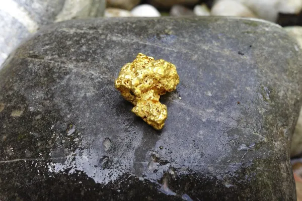 Obiectul pe care milioane de oameni îl aruncă la gunoi ascunde aur de 22 de carate. Descoperirea făcută de cercetători