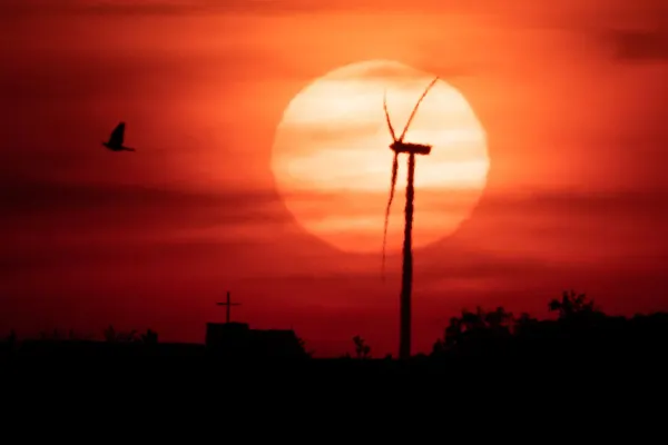 Aproape 10.000 de oameni au murit în Germania din cauza căldurii, în 2026. Bilanț record