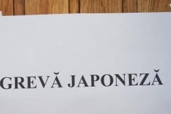 Angajații Casei de Pensii Tulcea au intrat în grevă japoneză: „Va dura până când situația noastră va fi înțeleasă!”
