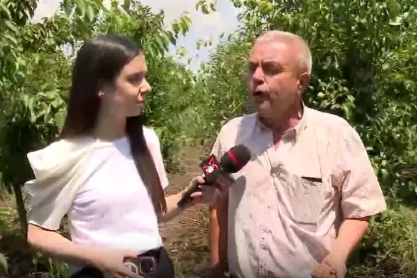 Agricultura, aproape de colaps. Mesajul fermierilor români - REPORTAJ REALITATEA PLUS