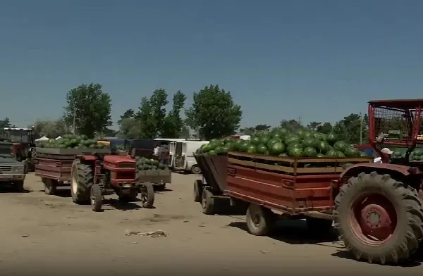 Realitatea PLUS, alături de fermierii umiliți de stat. Scumpirile și importurile îngroapă agricultura românească