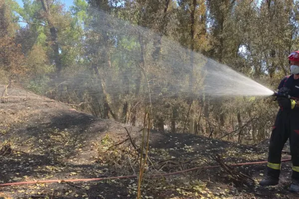 Risc ridicat de incendii în Franța: Pompierii români au supravegheat focarele și pe timpul nopții