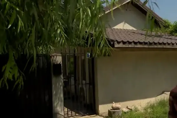 Fondatorul ONG-ului mufat la banii publici: ”Procedura guvernamentală nu e încheiată, s-a facut o preselecție”