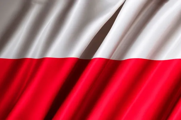 Polonia confirmă că proiectilul prăbușit lângă granița cu Ucraina era o rachetă rusească de croazieră