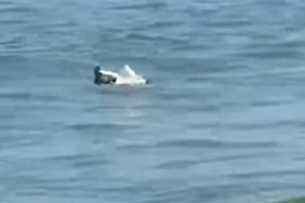 Bucată de dronă găsită în mare, la Mamaia, chiar lângă un club de fițe. SRI a trimis de urgență un echipaj