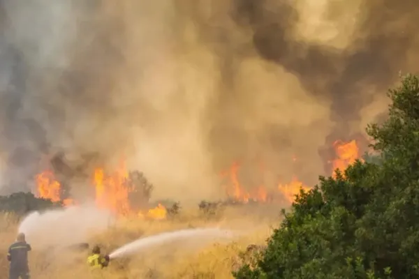 Grecia se confruntă cu un nou val de incendii de vegetație. 39 de focare au izbucnit în doar câteva ore