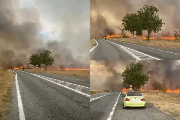 Incendiu de vegetație cu mai multe focare active în județul Gorj. Traficul pe DN 67 Târgu Jiu – Horezu este oprit-VIDEO