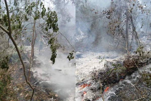 Resturile de dronă descoperite după incendiul din zona localității Plauru nu conțin explozibil. Anunțul MApN