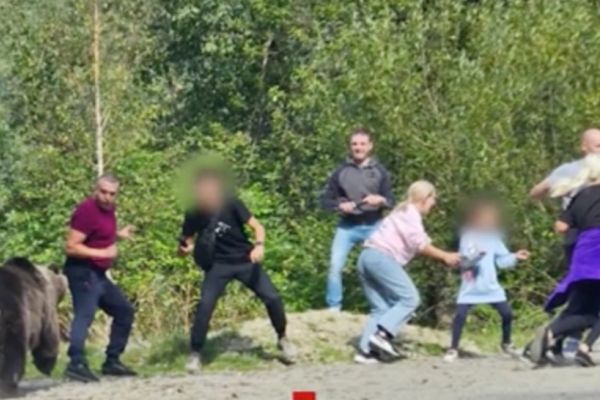 Inconștiență maximă pe Transfăgărășan! Un grup de turiști și-a adus copiii pentru o ședință foto improvizată cu ursul