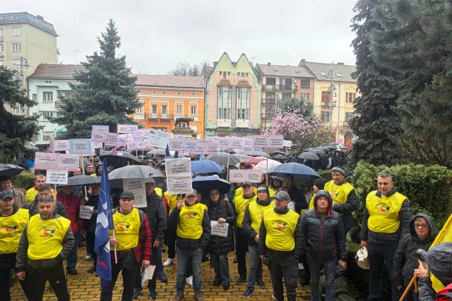 Preluarea Azomureș de către Romgaz, analizată de Consiliul Concurenței