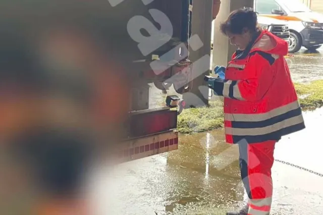 Moarte cumplită în Brăila. O femeie de 44 de ani a fost decapitată în timp ce se afla la muncă