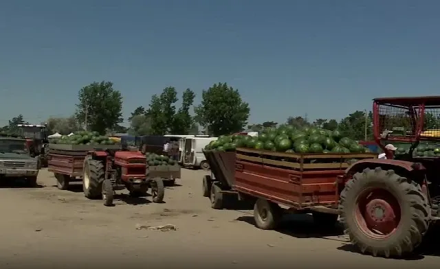 Realitatea PLUS, alături de fermierii umiliți de stat. Scumpirile și importurile îngroapă agricultura românească